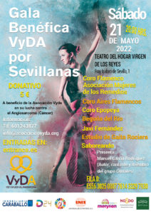 Lee más sobre el artículo Gala Benéfica VyDA por Sevillanas